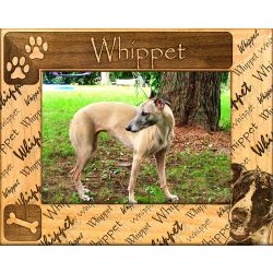 Whippet - Dog Picture Frame