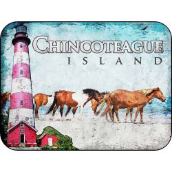 Chincoteague Island Virginia Lighthouse & Ponies