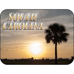 South Carolina Palmetto Magnet 